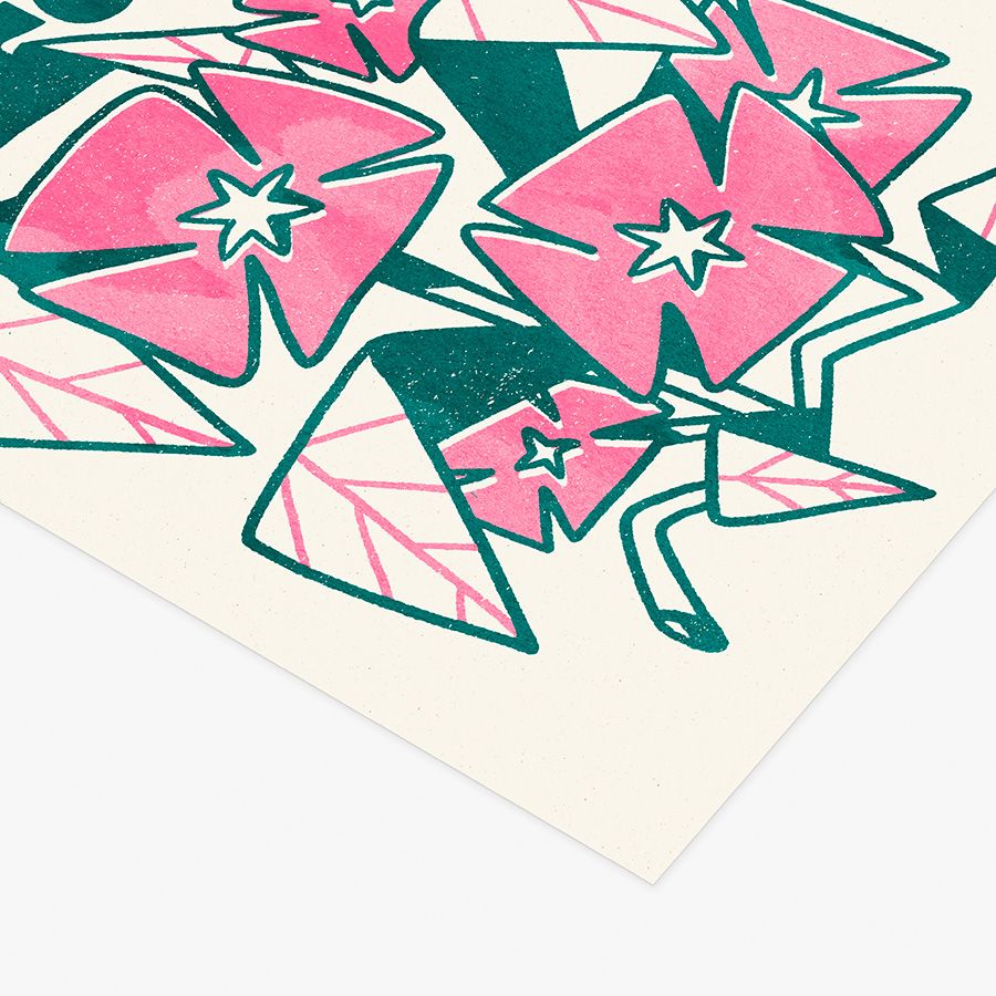 Prints 300gr Algas Shiro - Imagen 2