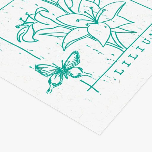 Alternative view of Prints 300gr Algodón y yute